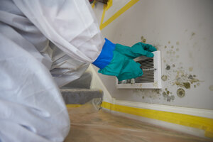 mold mitigation and remediation expert removing mold from walls in Cartersville