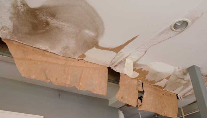 image of roof leaking water