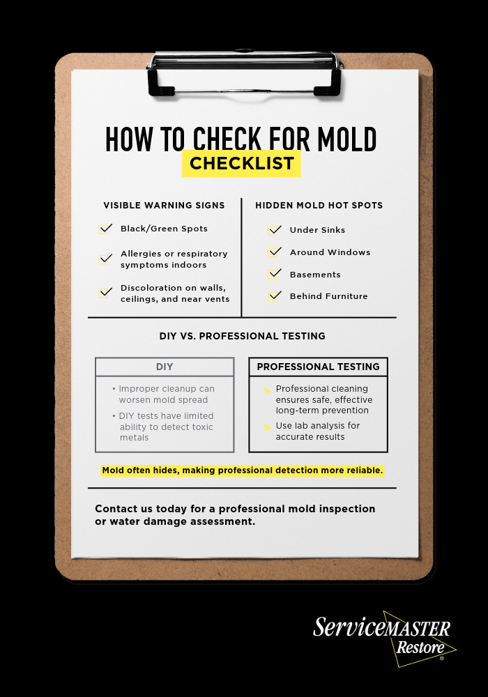 how to check for mold checklist